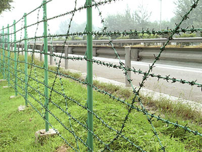果园山林围栏图片8
