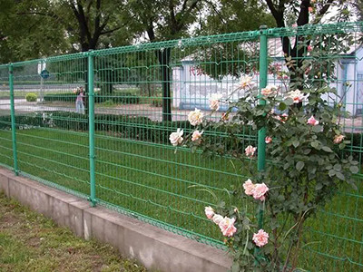 双圈围栏图片3